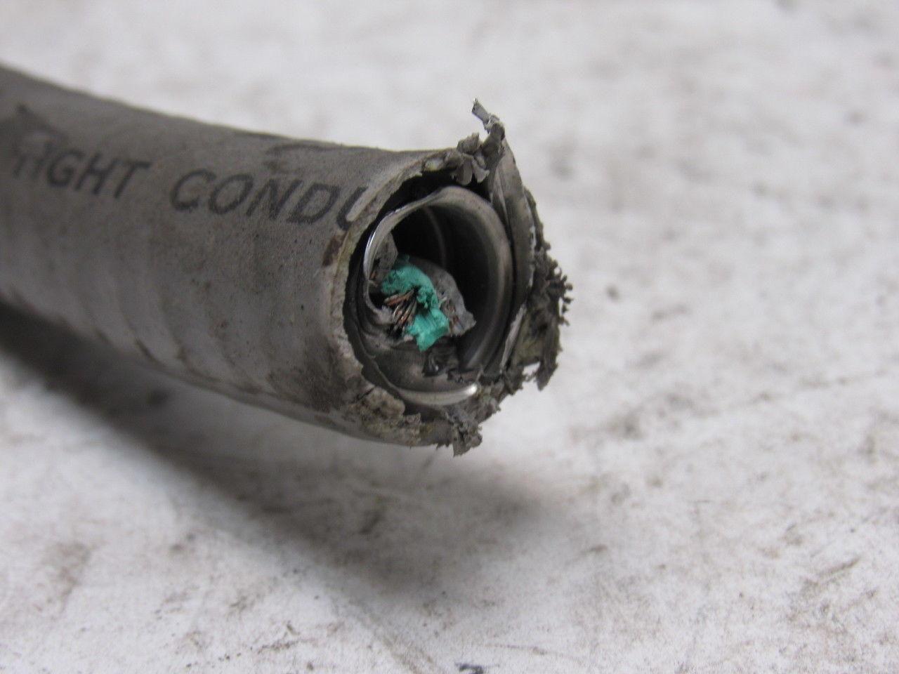 GC Valves S211GH02T4DG1 110/120V 50/60Hz Air WOG Steam Solenoid Valve 1/2"