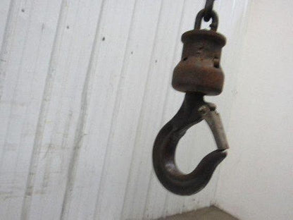 CM 1 Ton Manual Chain Fall Hoist 2000 Lbs. 28' Travel 17' Pendant Chain