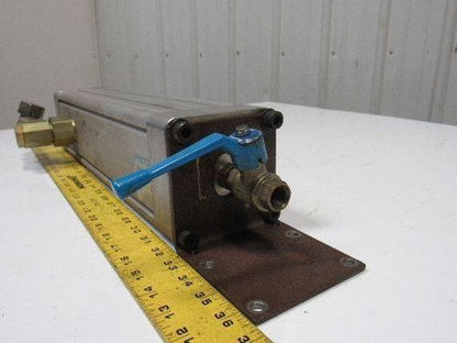 Festo DNC-100-61-SM Pneumatic  Accumulator