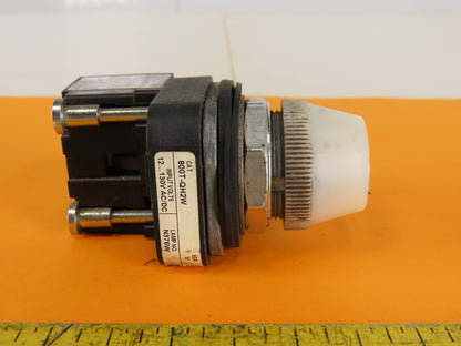 Allen Bradley 800T-QH2W/V Universal LED Pilot Light 12-130VAC White Series V