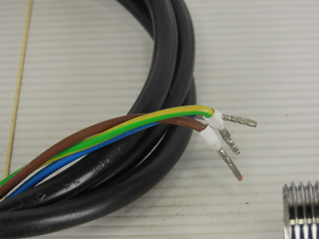 BD Sensor DMP343 Pressure measurement -250-1000 Mbar Gauge 4-20Ma 8-32VDC