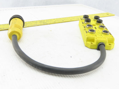 Brad Harrison BTY802P-FBP Multiport 8 Port PNP Unit