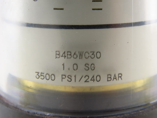 Lake Monitors B4B6WC30 Basic Variable Area Flow Meter 3500PSI 1"NPT