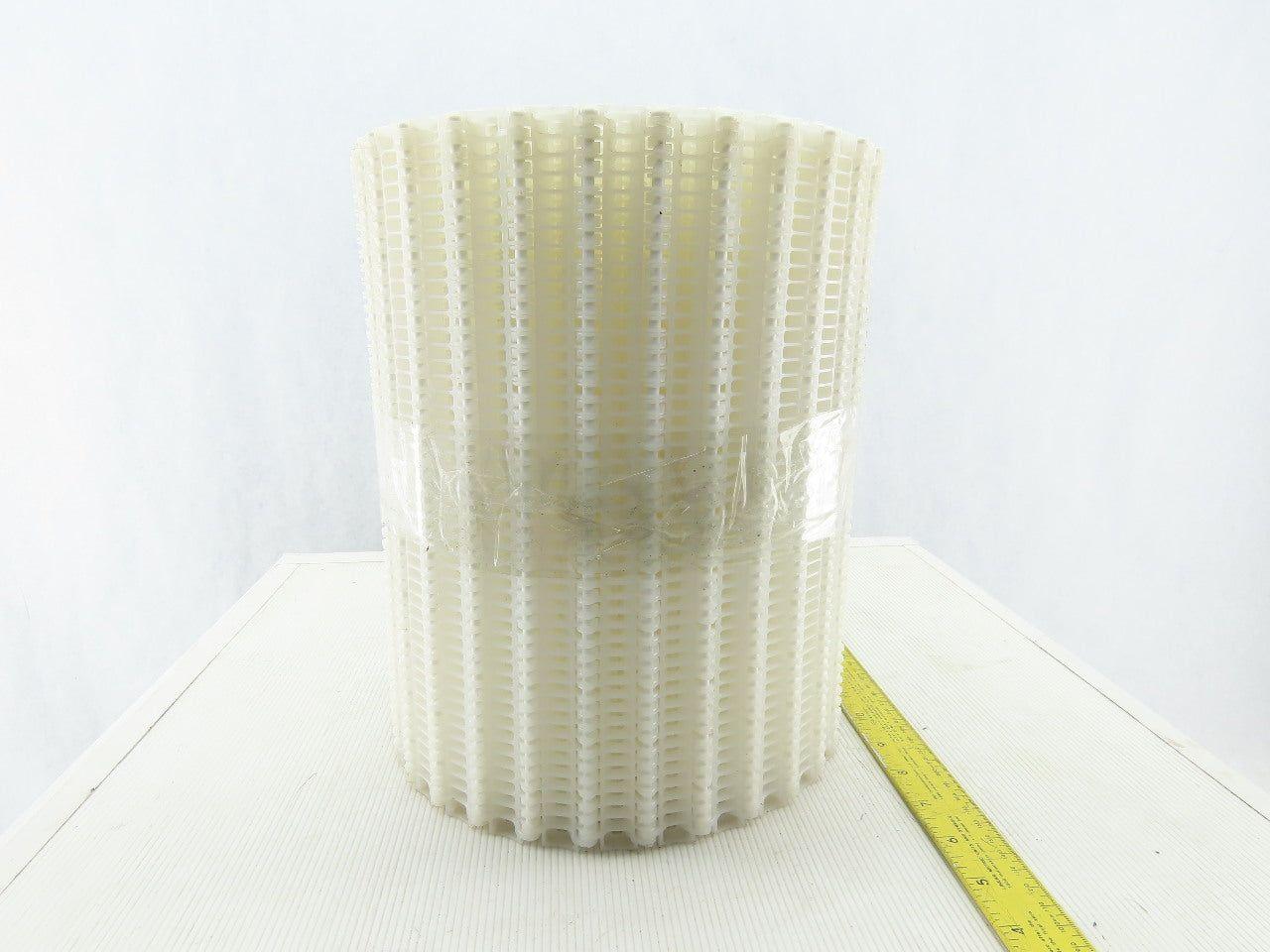 11-7/8" Plastic Conveyor Chain 1" Pitch 20'