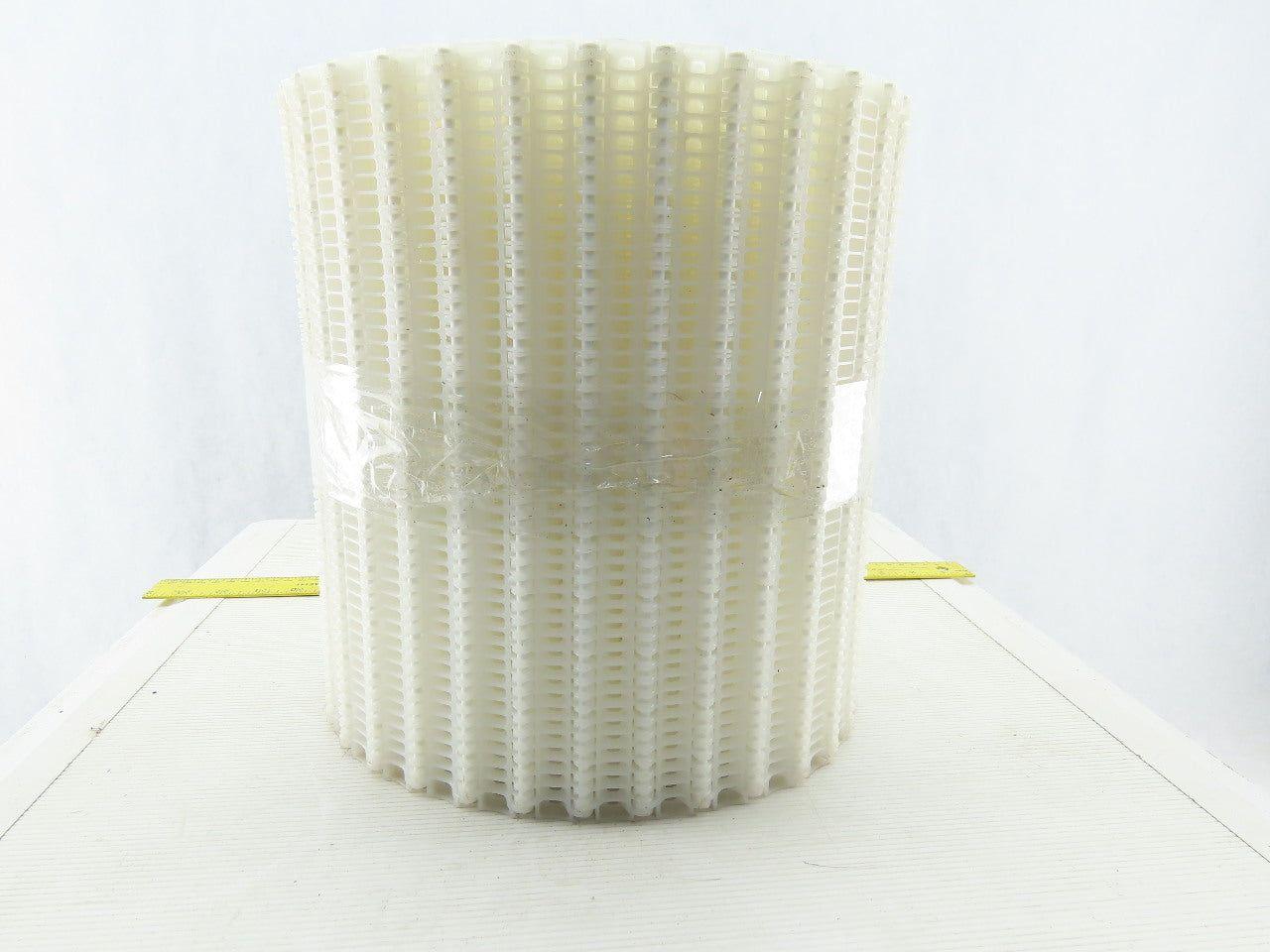 11-7/8" Plastic Conveyor Chain 1" Pitch 20'