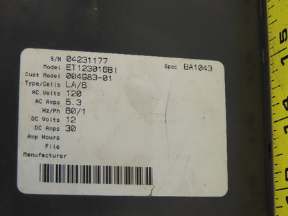 Tennant ET12306BI 120VAC 5.3 Amps Onboard Battery Charger 12VDC 30A Cart Vehicle