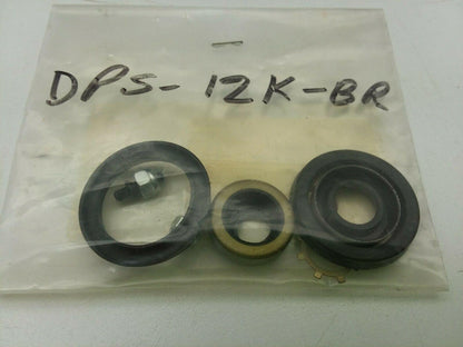 Chicago Cylinder Corporation DPS-12K-BR Repair Kit For N-258, N-114