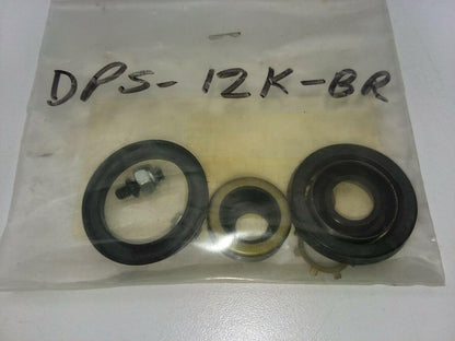 Chicago Cylinder Corporation DPS-12K-BR Repair Kit For N-258, N-114