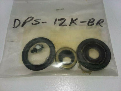 Chicago Cylinder Corporation DPS-12K-BR Repair Kit For N-258, N-114