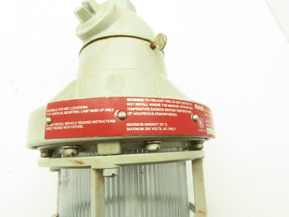 RAB EP124 Pendant Mount Haz Location Explosion Proof Fixture w/Guard 300W .5"Hub