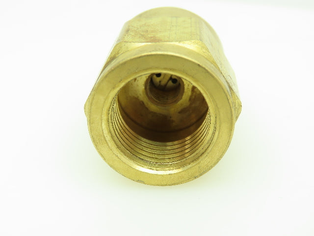 Ray 623B Hydraulic Piston Snubber 3/4"NPT Solid Body