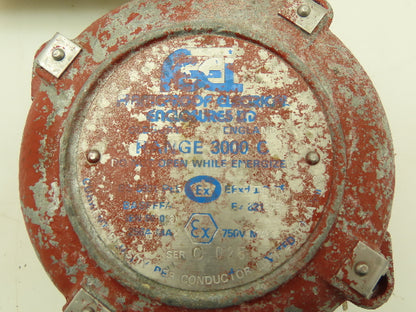 FlameProof Electrical Enclosures LTD Detect-A-Fire Fire Detection Sensor