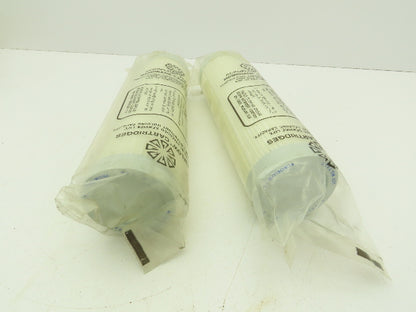 Gelman 12570 Acroflow II Filter Cartridge 0.2 um 10"  LOT OF 2