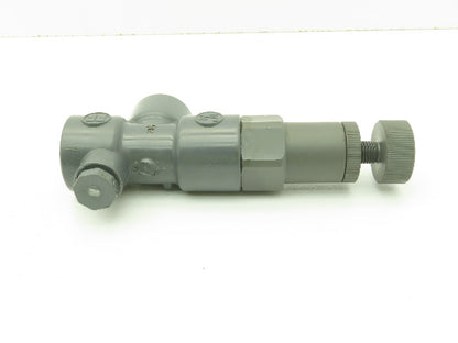 Hayward RV1050T PVC Adjustable Relief Valve 1/2" NPT THD Viton Seals