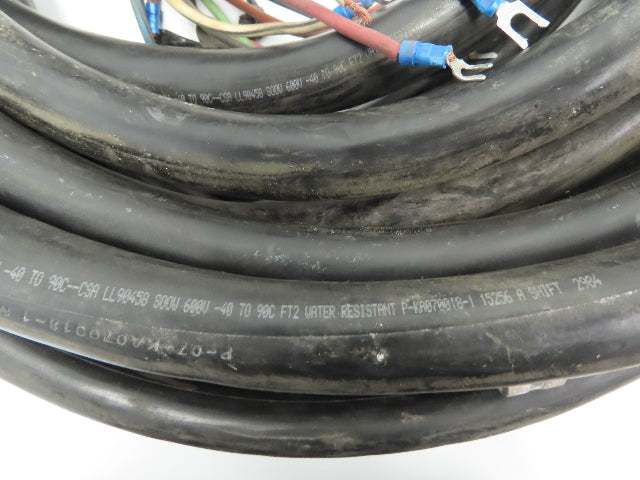 Southwire SOOW 14/14 Conductor Awg Portable Power Cable Flexible Black 600V 45'