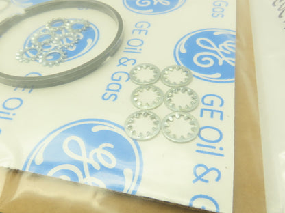 GE Oil & Gas ZCX20-A305-RK Air Compressor O-Ring Seal Repair Service Kit