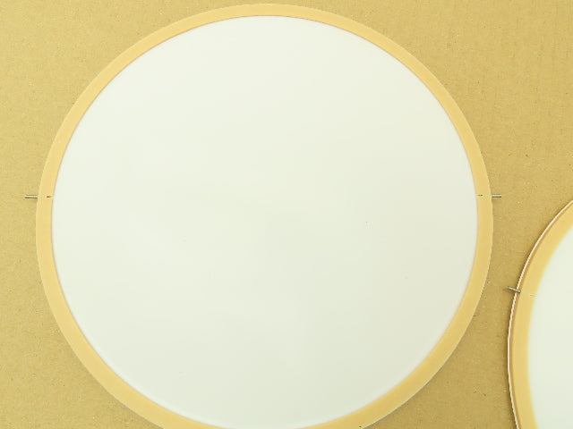 SPX 303437 Teflon PTFE Pump Diaphragm 243.6mm OD  Lot of 2