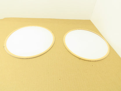 SPX 303437 Teflon PTFE Pump Diaphragm 243.6mm OD  Lot of 2