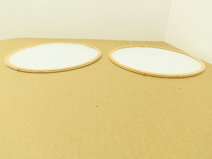 SPX 303437 Teflon PTFE Pump Diaphragm 243.6mm OD  Lot of 2