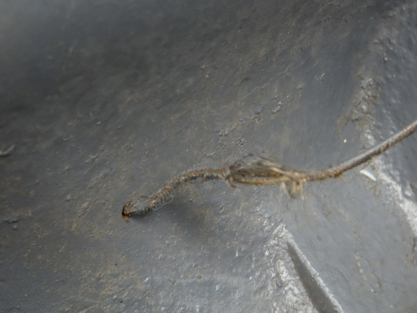 Reuland 0750Q-PBVN-0001 75 Hp Motor 500-6000 Rpm 210-435v 3ph 17-200 Hz 449DZ Fr