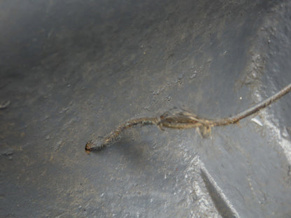 Reuland 0750Q-PBVN-0001 75 Hp Motor 500-6000 Rpm 210-435v 3ph 17-200 Hz 449DZ Fr