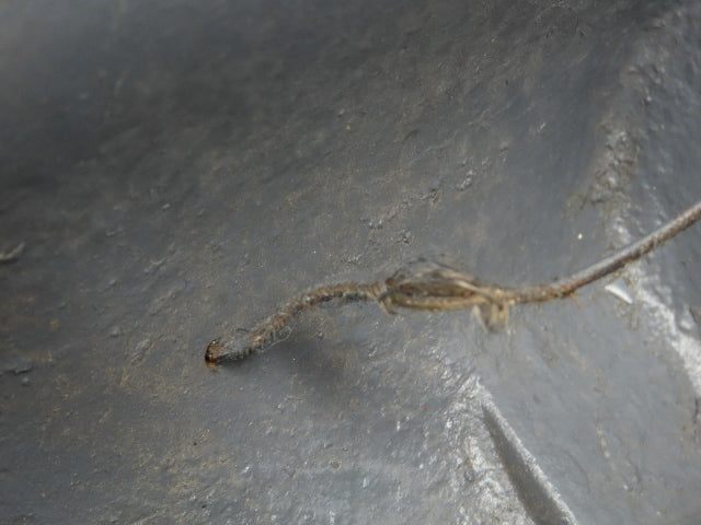 Reuland 0750Q-PBVN-0001 75 Hp Motor 500-6000 Rpm 210-435v 3ph 17-200 Hz 449DZ Fr