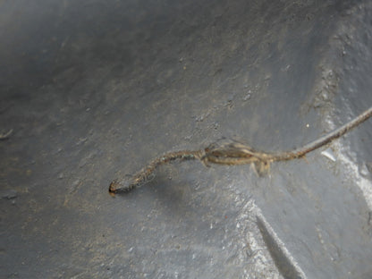 Reuland 0750Q-PBVN-0001 75 Hp Motor 500-6000 Rpm 210-435v 3ph 17-200 Hz 449DZ Fr