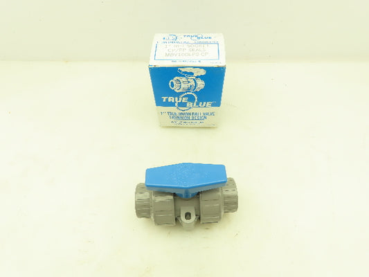 Plast-o-matic MBV100EPS-CP True Blue 1" NPT Socket True Union Ball Valve EPDM