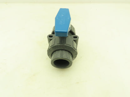 Plast-o-matic MBV100EPS-PV True Blue 1" NPT Socket True Union Ball Valve EPDM