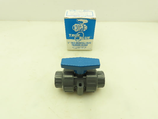 Plast-o-matic MBV100EPS-PV True Blue 1" NPT Socket True Union Ball Valve EPDM