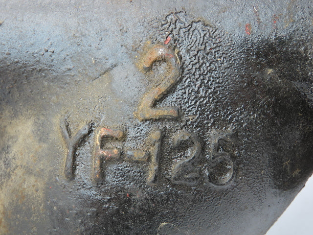 YF-125 Cast Iron 2" Flanged Y Strainer Steel Mesh Screen #125