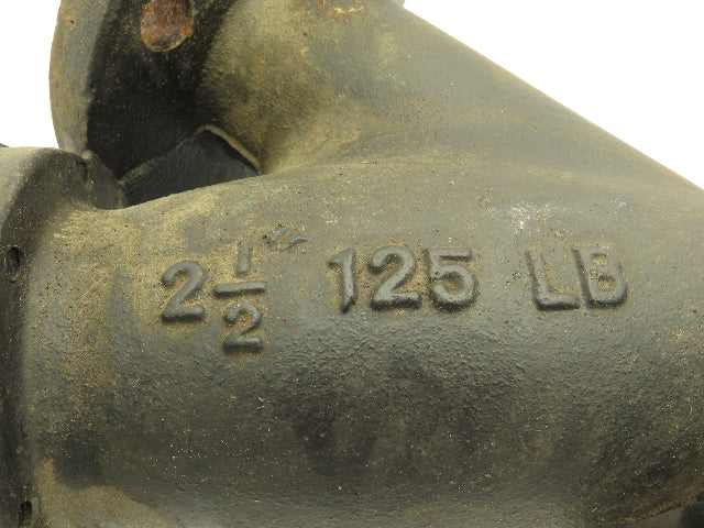 Keckley 2-1/2" Flanged Cast Iron Y Strainer #125