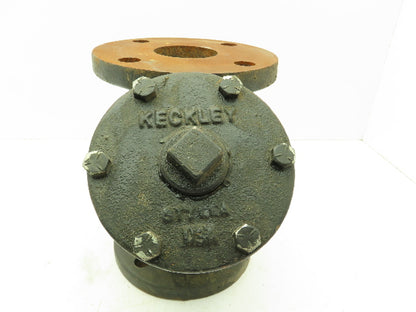 Keckley 2-1/2" Flanged Cast Iron Y Strainer #125