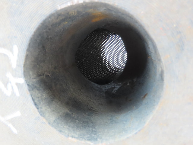 Mueller 2-1/2" Flanged Cast Iron Y Strainer #125 Model 758