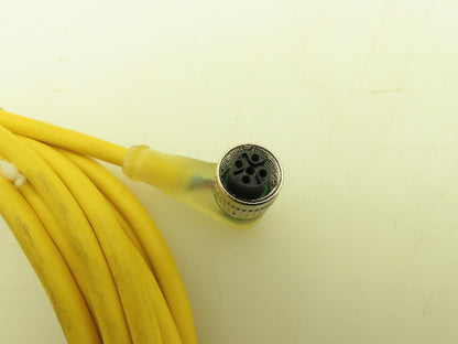 Balluff BCC05TU Cordset BCC M425-0000-1A-004-EX43T2-050 5m Long 90 End Lot of 4