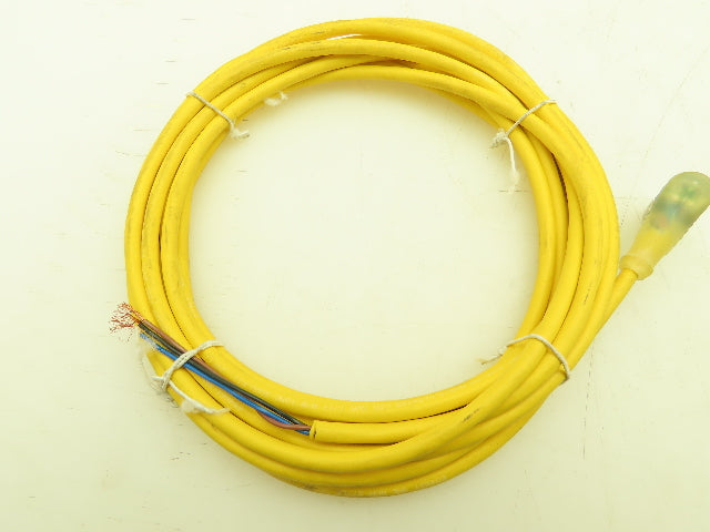 Balluff BCC05TU Cordset BCC M425-0000-1A-004-EX43T2-050 5m Long 90 End Lot of 4