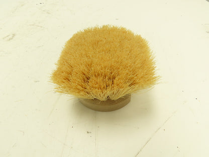 Osborn Pro 81018 Short Wood Handle Tampico Utility Scrub Brush  Box of 12