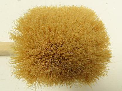 Osborn Pro 81018 Short Wood Handle Tampico Utility Scrub Brush  Box of 12