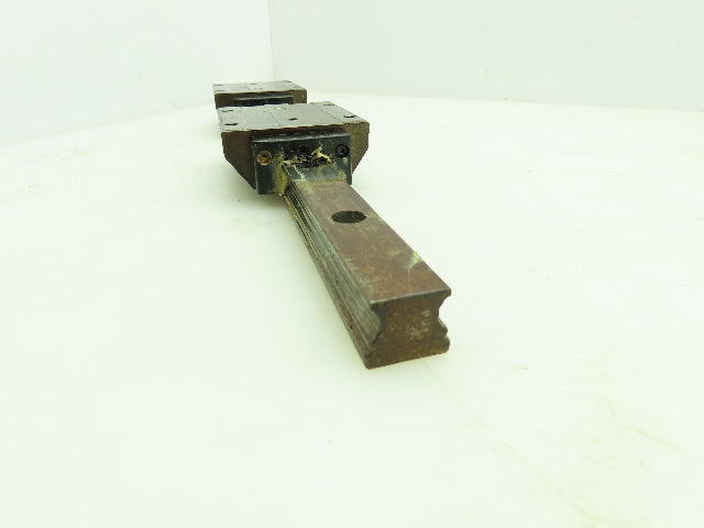 INA KWVE-20 Linear Guide Rail Caged Ball Bearing 2-Block Unit 450mm 17.75"