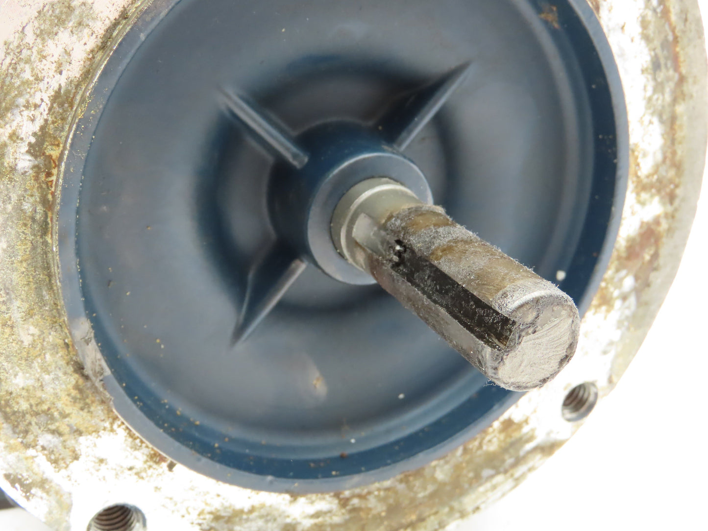 Leeson HVI A6T17XK11C Electric Motor 3/4HP 3Ph 230/460V 56C 1725 RPM Hazardous