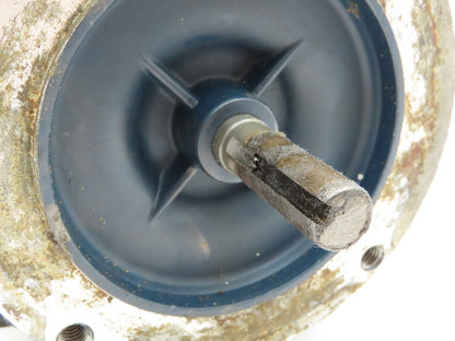 Leeson HVI A6T17XK11C Electric Motor 3/4HP 3Ph 230/460V 56C 1725 RPM Hazardous