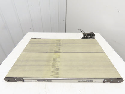 Dorner 2200 Series Flat Belt Conveyor 24"W x 36"L 24V End Drive