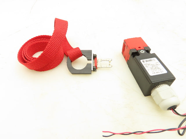 Pizzato FR 692-D1 Safety Interlock Switch With Key 1NO+1NC Snap Action Lot Of 3