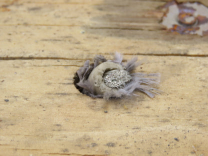 Omni Cable C50601 SRML 6/1C High Temperature Wire 6 Awg 150°C 600V Black 500'