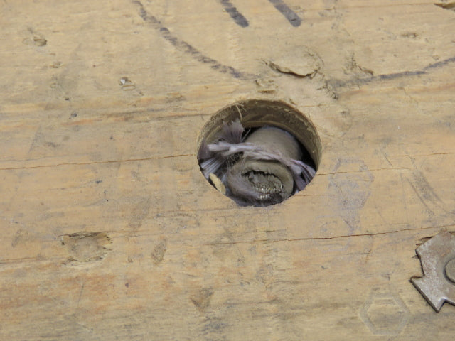 Omni Cable C50201 SRML #2/1C 133 STR High Temperature Wire 2 Awg 200°C 600V 500'