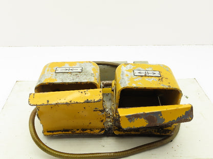 Ojiden OFL-TY1-SM2.KS Safety Guard Machine Foot Switch Double Pedal 10A 250V