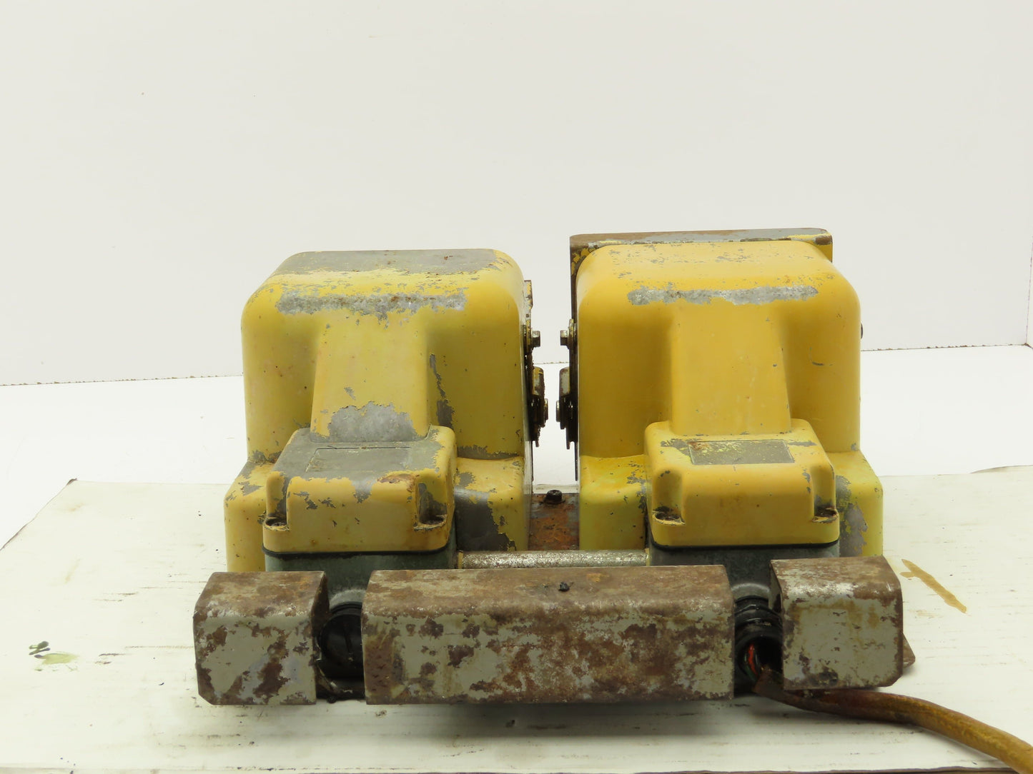 Ojiden OFL-TY1-SM2.KS Safety Guard Machine Foot Switch Double Pedal 10A 250V