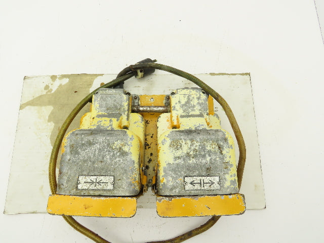 Ojiden OFL-TY1-SM2.KS Safety Guard Machine Foot Switch Double Pedal 10A 250V