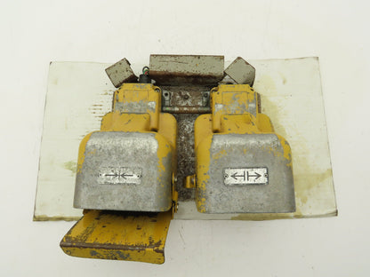 Ojiden OFL-TY1-SM2.KS Safety Guard Machine Foot Switch Double Pedal 10A 250V