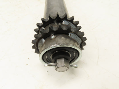 Lathrup 2.5"x 45.5" BF Chain Drive Double Sprocket Steel Conveyor Roller